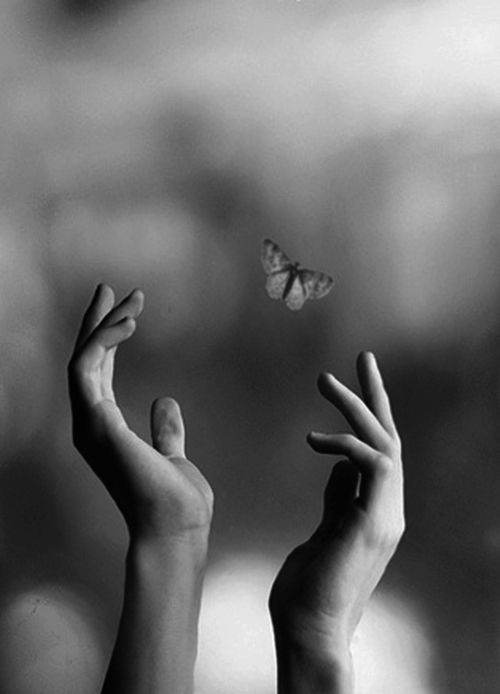 mãos com borboleta