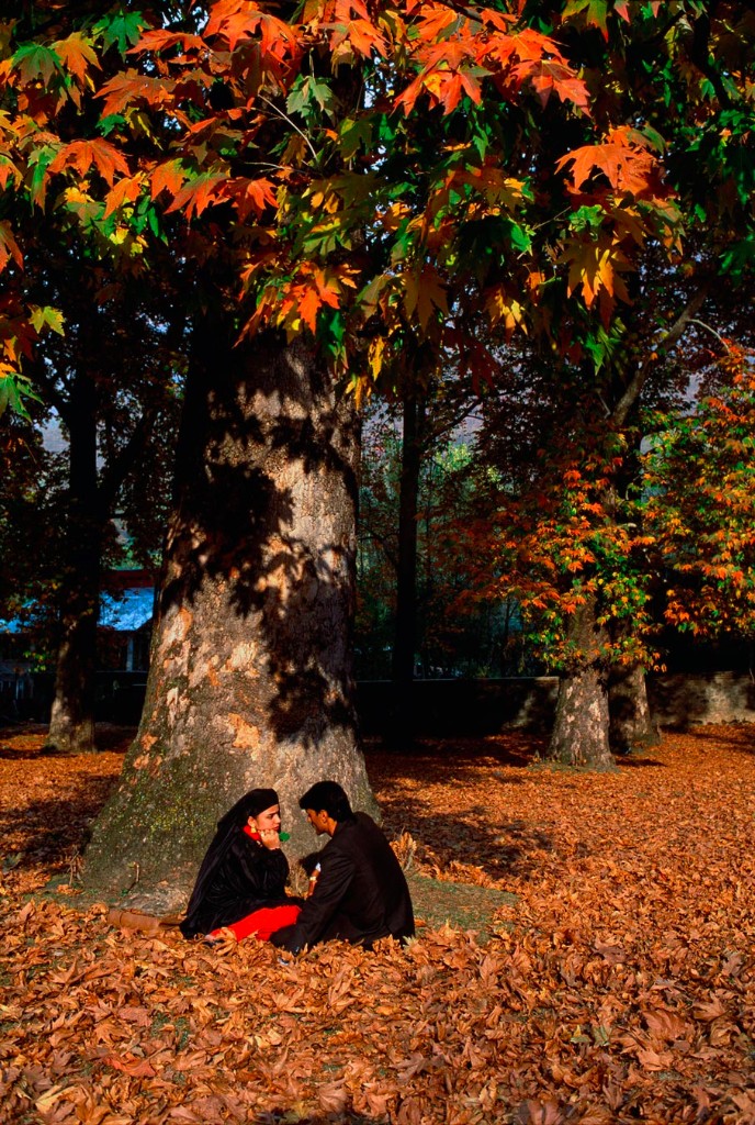 Shalimar Gardens, Srinagar, Kashmir, 1999 A couple relaxes under chinar tree. The Chinar tree is an integral part of Kashmiri culture. The tree is at its most elegance and exuberance during autumn. Though its majesty can be seen all through the year. Iqbal, the poet of the East, traces the warmth of the Kashmir soil to the "blaze of Chinars it nurses in its bosom".