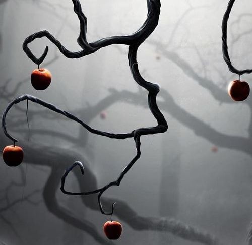 maçã-árvore-500x486-500x486