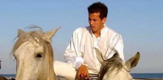 Lorenzo, o encantador de cavalos