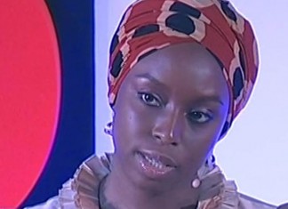 Chimamanda Adichie: O perigo de uma única história