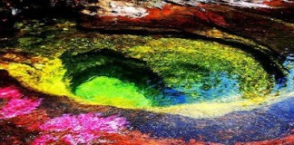 O rio das 5 cores- Colômbia