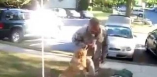 Cão reencontra seu dono que volta do Afeganistão após 2 anos de separação