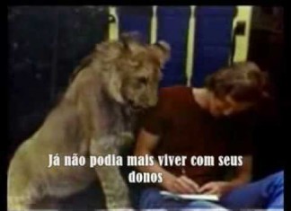 Amigos para sempre…a história de um leão e seus donos.