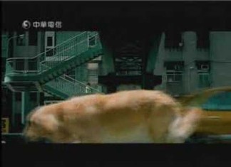 O mais emocionante comercial !!!