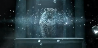 Cartier – Uma propaganda de luxo. Vale conferir!!!