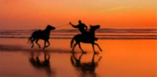 Mensagem de Amigo (leia sem chorar) Mensagem de Amigo (leia sem chorar)