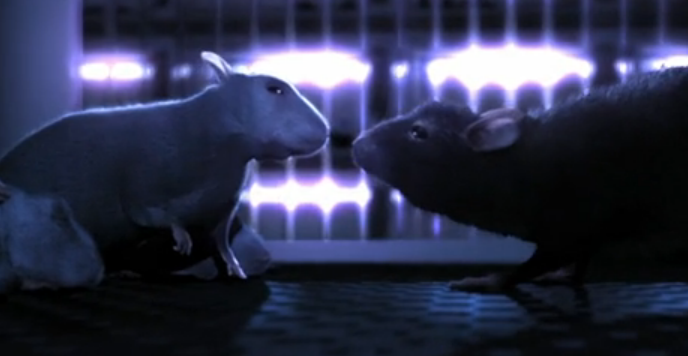 One Rat Short- uma história de amor
