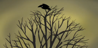 Dream(drēm)n (uma história de libertação)