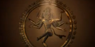 "The God": quem nunca teve um sério problema com uma mosca chata? (humor) "The God": quem nunca teve um sério problema com uma mosca chata? (humor)