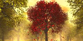 Autumn Leaves – Eric Clapton