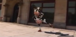 Vaca louca- animação de 30 segundos