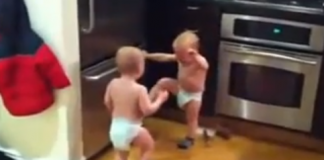 Dois bebês conversando (humor)