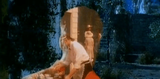 Sting – Fields Of Gold