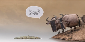 Quem avisa, amigo é!