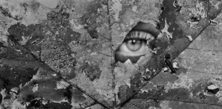 “O-que-mora-dentro…”, por Guilherme Antunes