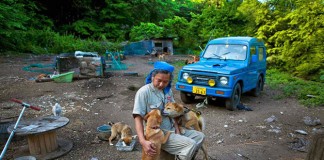 Após tsunami, homem resgata e cuida sozinho de 500 animais abandonados