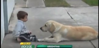 Cachorro faz de tudo para conseguir amizade de garoto com síndrome de Down… e consegue!