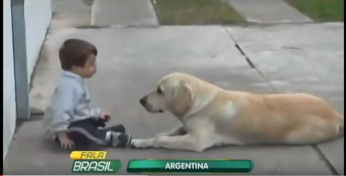 Cachorro faz de tudo para conseguir amizade de garoto com síndrome de Down… e consegue!
