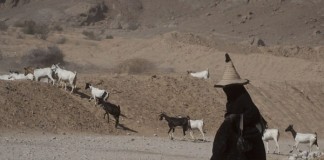 As bruxas de Hadramaut (Iêmen) As bruxas de Hadramaut (Iêmen)