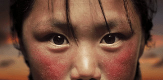 A prova de que photoshop edita mais do que fotos de artistas: Trabalho fantástico com imagens da WWF