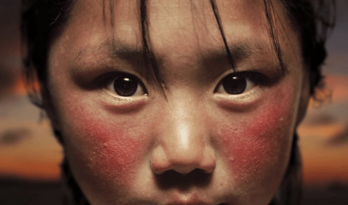 A prova de que photoshop edita mais do que fotos de artistas: Trabalho fantástico com imagens da WWF