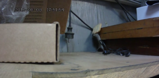 Nunca desista! Aprenda com esse ratinho! Nunca desista! Aprenda com esse ratinho!