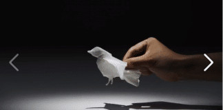 Animais feitos com lenços de papel (incrível)