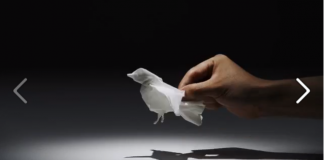 Animais feitos com lenços de papel (incrível)