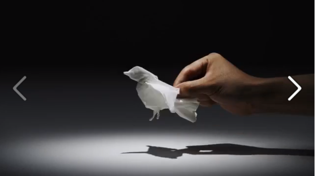 Animais feitos com lenços de papel (incrível)