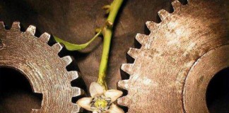 O amor nunca morre de morte natural, Fabrício Carpinejar