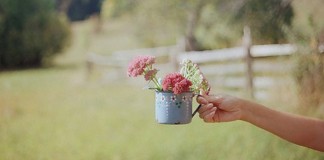 12 casos de gentileza que deixarão os seus olhos mais brilhantes! 12 casos de gentileza que deixarão os seus olhos mais brilhantes!