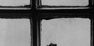 Sentir-se amado, por Martha Medeiros Sentir-se amado, por Martha Medeiros