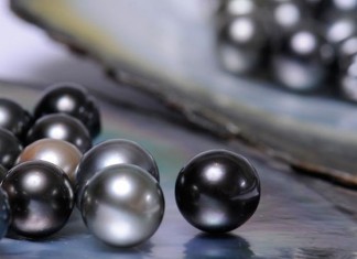 30 pérolas de Mia Couto, no livro Vozes Anoitecidas