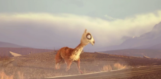 Caminandes: pobre lhama