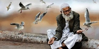 A SAMAMBAIA E O BAMBU