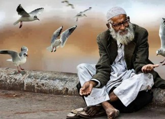 A SAMAMBAIA E O BAMBU