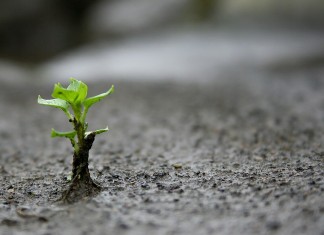 Um psicólogo só será bom no que faz, quando…