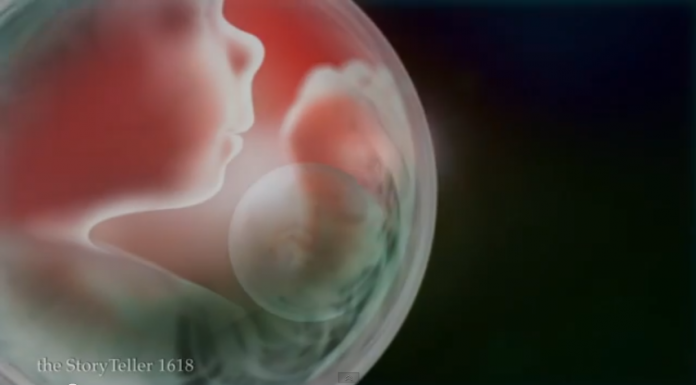 A plenitude uterina visualizada através de um clipe de Kate Bush