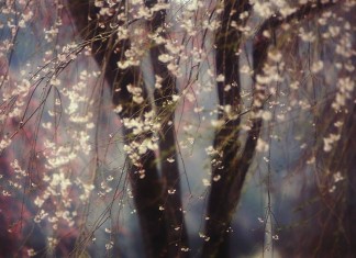 E os poetas? O que eles falam de Deus?