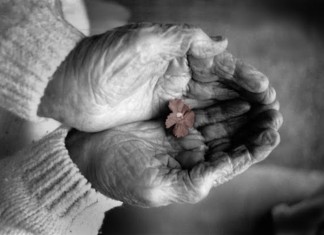 Você é linda. Obrigada. Eu te amo.