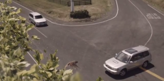 Quem dirige em alta velocidade não tem margem para erros