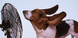 Calor por aí? Calor por aí?