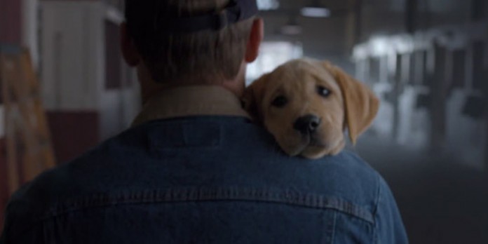 Você não vai resistir à história de amizade entre um cavalo e um cão contada nesse comercial do Super Bowl 2014