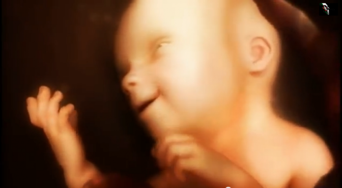 Formação de um bebê no ventre materno (imperdível)