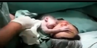 Bebê recém-nascido já reconhece e não quer deixar a mãe (emocionante) Bebê recém-nascido já reconhece e não quer deixar a mãe (emocionante)