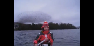 PÁSSAROS EM MOVIMENTOS INCRÍVEIS. VEJA ESSE FENÔMENO RARO DA NATUREZA