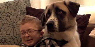 Como um cão de três patas devolveu a alegria de viver a uma criança com uma doença rara