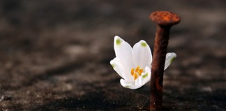 Aprenda mais sobre o perdão: 9 passos para perdoar Aprenda mais sobre o perdão: 9 passos para perdoar