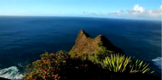 PARE TUDO E VEJA ISSO- “Perca-se na natureza e encontre a paz” PARE TUDO E VEJA ISSO- “Perca-se na natureza e encontre a paz”